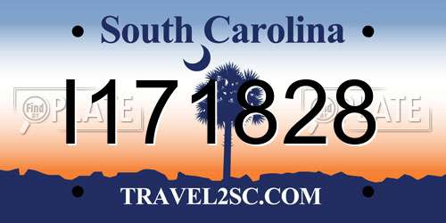 I171828 South Carolina License Plate