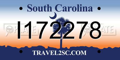 I172278 South Carolina License Plate