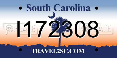 I172308 South Carolina License Plate