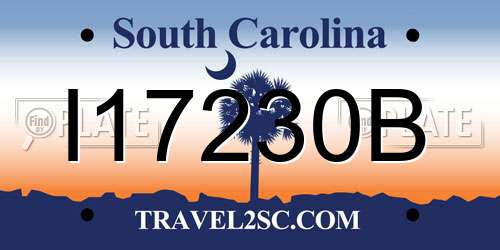 I17230B South Carolina License Plate