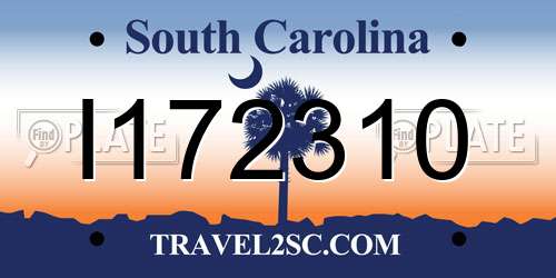 I172310 South Carolina License Plate