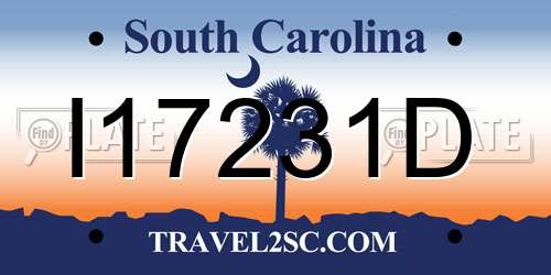 I17231D South Carolina License Plate
