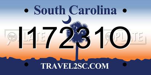 I17231O South Carolina License Plate