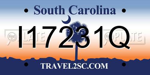 I17231Q South Carolina License Plate