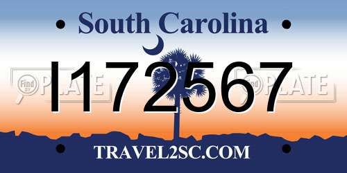 I172567 South Carolina License Plate
