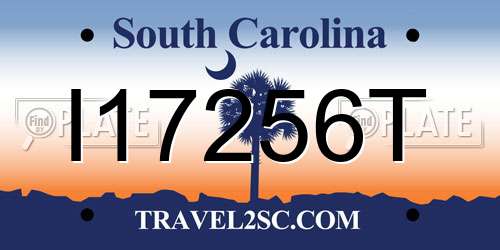 I17256T South Carolina License Plate