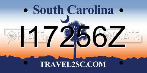 I17256Z South Carolina License Plate