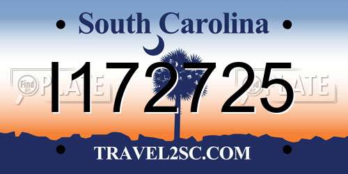I172725 South Carolina License Plate