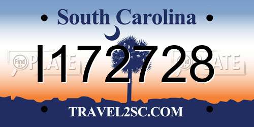 I172728 South Carolina License Plate