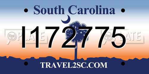 I172775 South Carolina License Plate