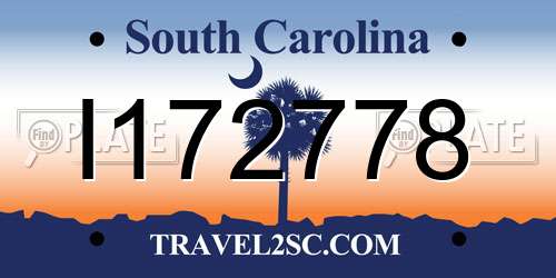 I172778 South Carolina License Plate