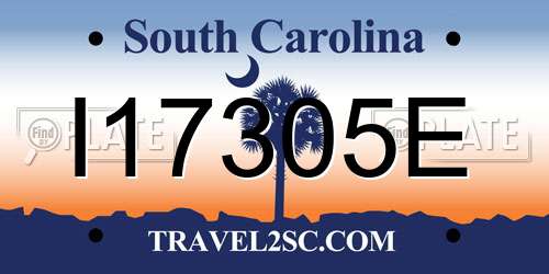 I17305E South Carolina License Plate