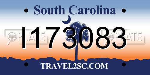 I173083 South Carolina License Plate