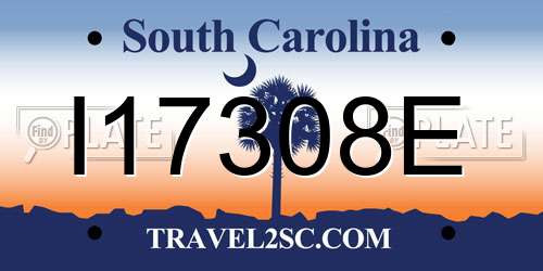 I17308E South Carolina License Plate