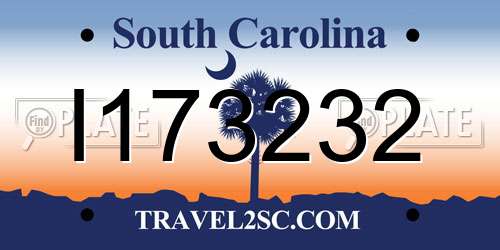 I173232 South Carolina License Plate