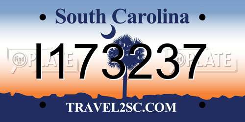 I173237 South Carolina License Plate