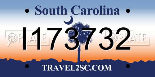 I173732 South Carolina License Plate
