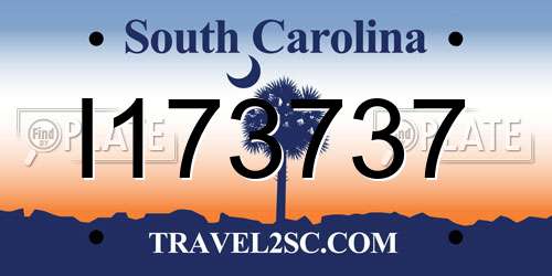 I173737 South Carolina License Plate
