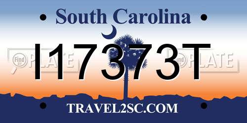 I17373T South Carolina License Plate