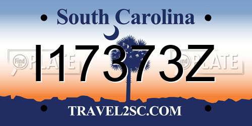 I17373Z South Carolina License Plate