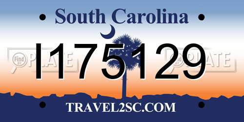 I175129 South Carolina License Plate