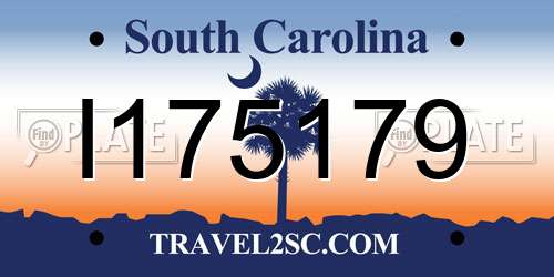 I175179 South Carolina License Plate