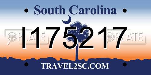 I175217 South Carolina License Plate