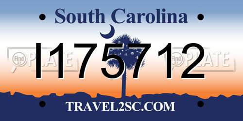 I175712 South Carolina License Plate
