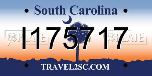 I175717 South Carolina License Plate