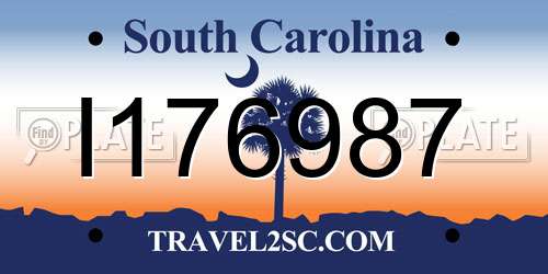 I176987 South Carolina License Plate
