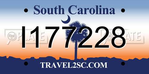 I177228 South Carolina License Plate