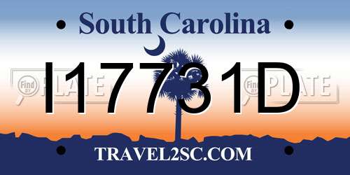 I17731D South Carolina License Plate