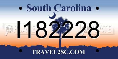 I182228 South Carolina License Plate