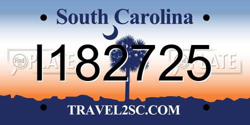 I182725 South Carolina License Plate