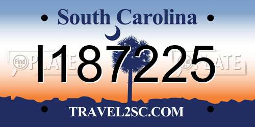 I187225 South Carolina License Plate