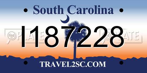I187228 South Carolina License Plate