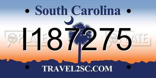 I187275 South Carolina License Plate
