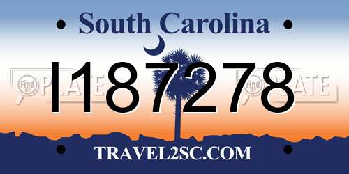 I187278 South Carolina License Plate