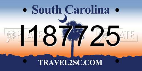 I187725 South Carolina License Plate
