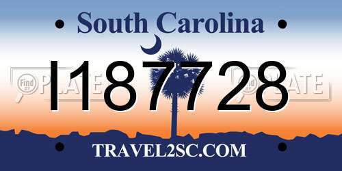 I187728 South Carolina License Plate