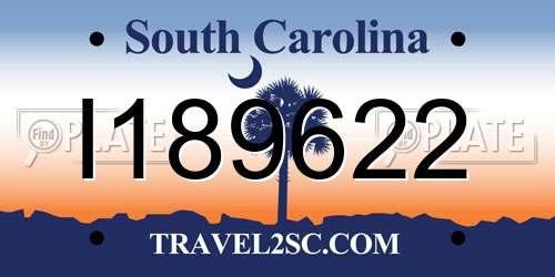 I189622 South Carolina License Plate