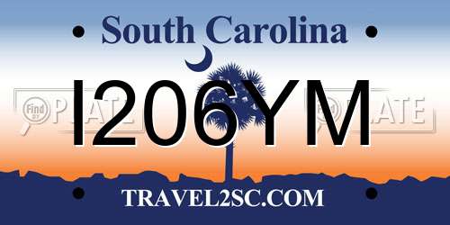 I206YM South Carolina License Plate