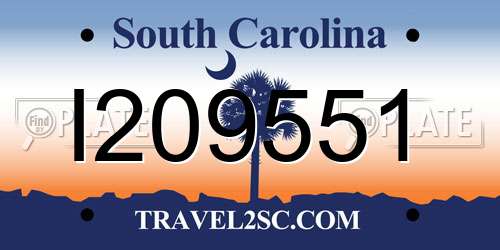 I209551 South Carolina License Plate