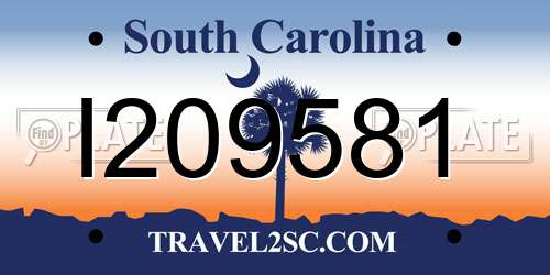 I209581 South Carolina License Plate