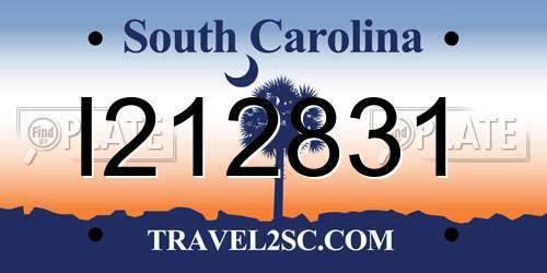 I212831 South Carolina License Plate