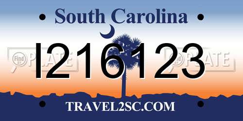 I216123 South Carolina License Plate