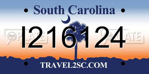 I216124 South Carolina License Plate