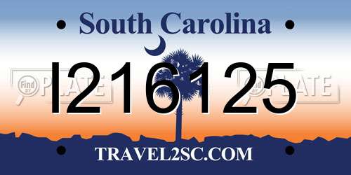 I216125 South Carolina License Plate