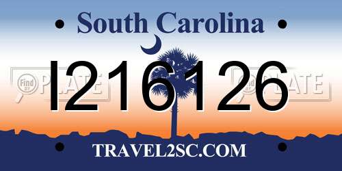 I216126 South Carolina License Plate