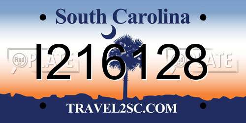 I216128 South Carolina License Plate